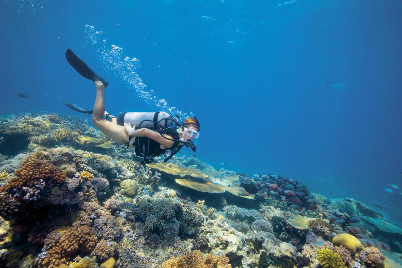 Lizard island resort beach12