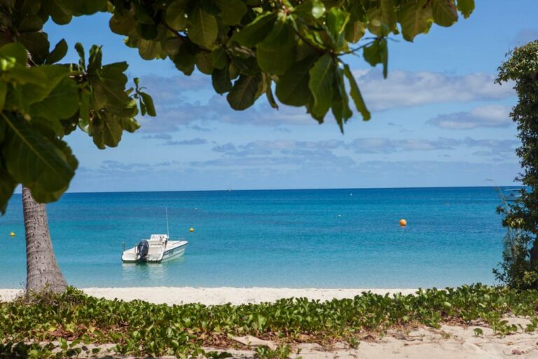 Lizard island resort beach8 768x512
