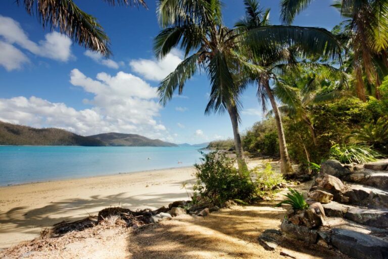 palm bay beach resort7 768x512