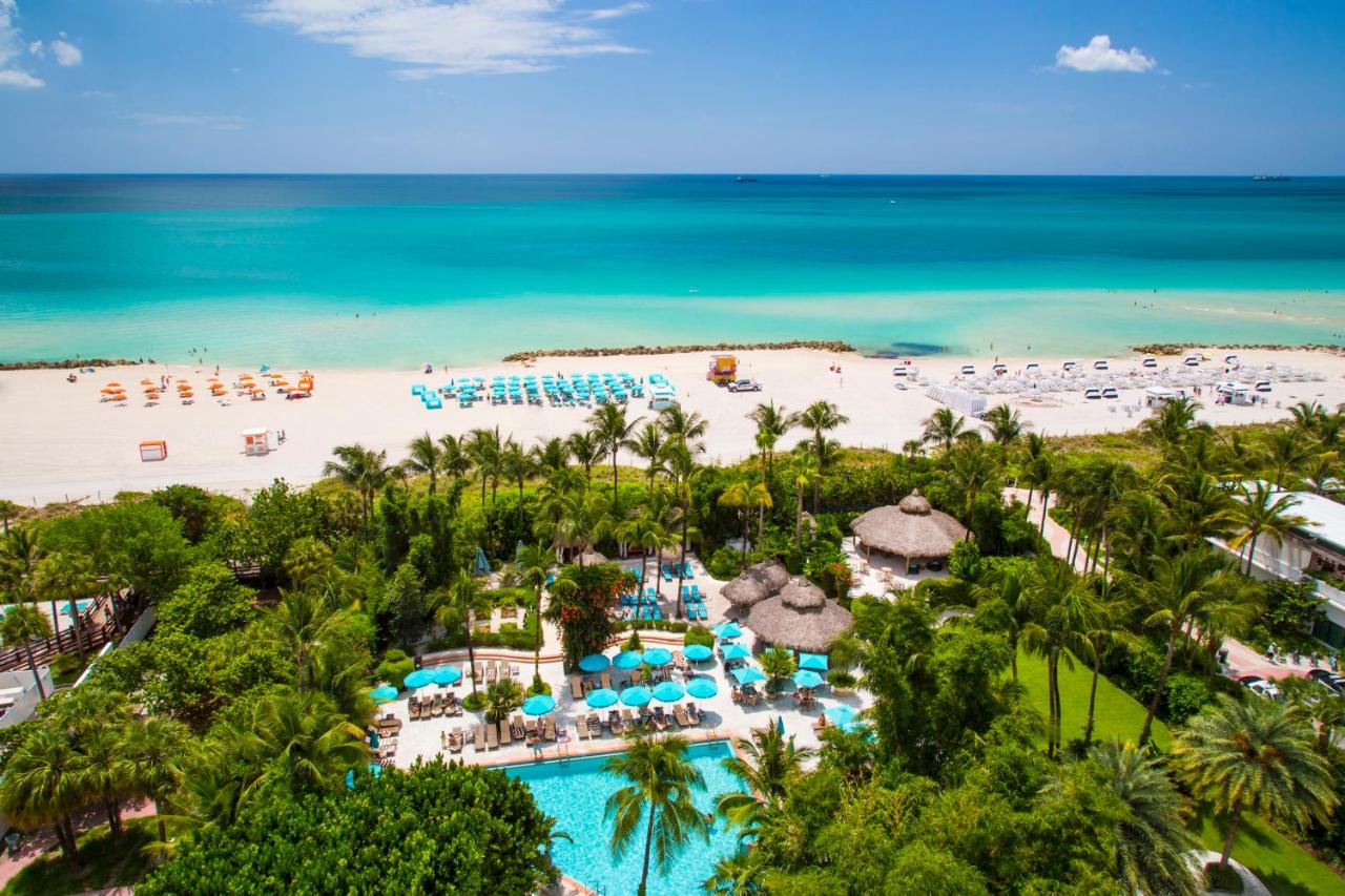 the palms south beach hotel