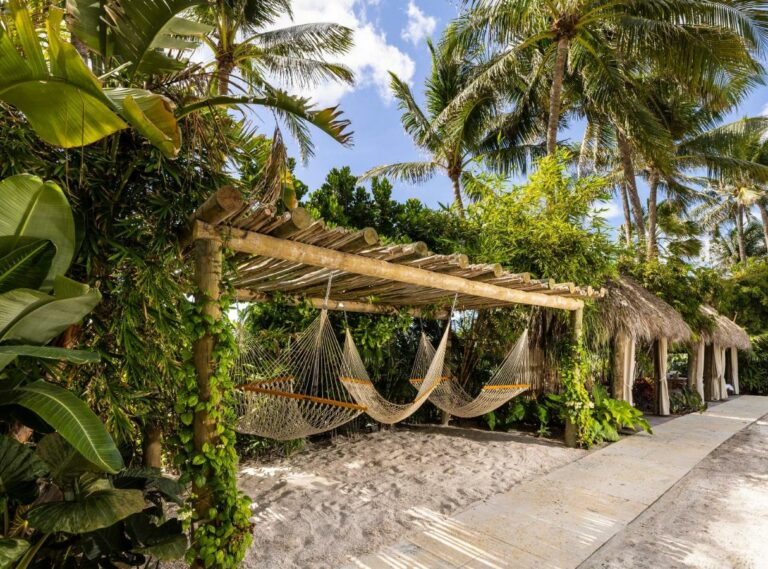 the palms south beach hotel12 768x569