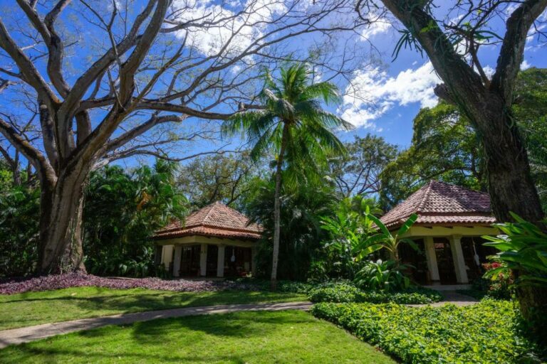 capitan suizo beachfront boutique beach hotel costa rica17 768x512