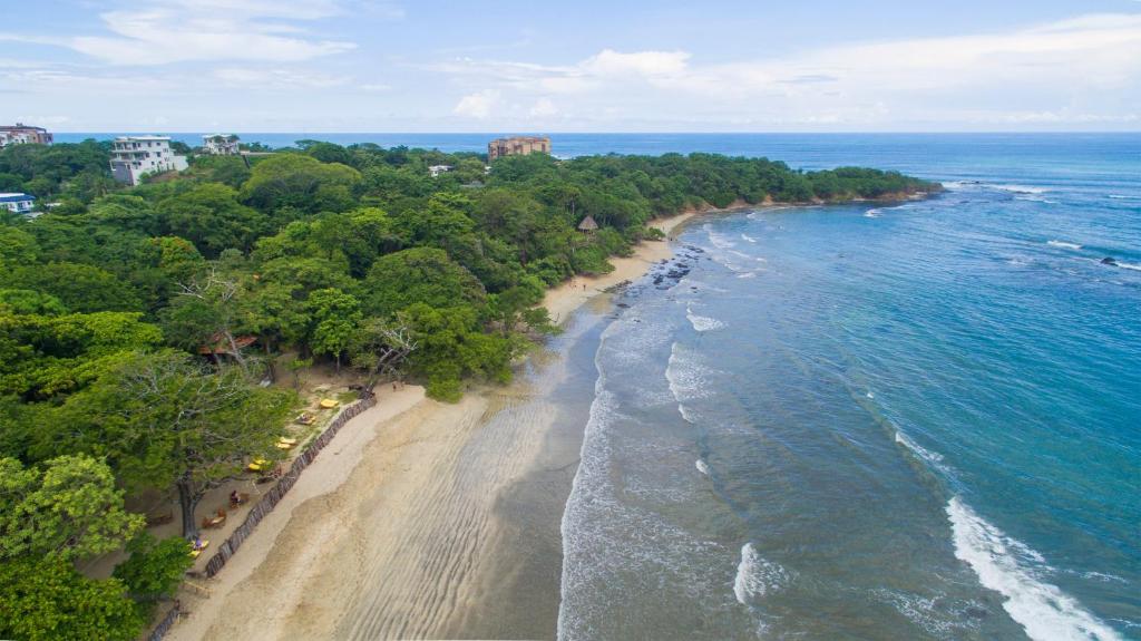 capitan suizo beachfront boutique beach hotel costa rica4