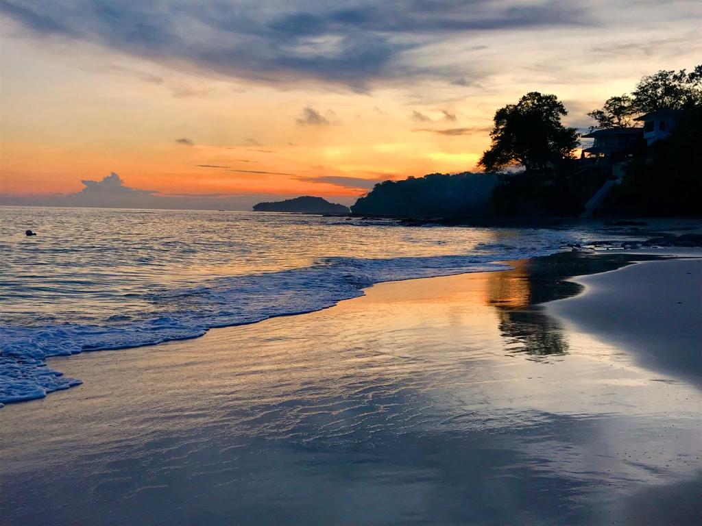 2323180543534 445365