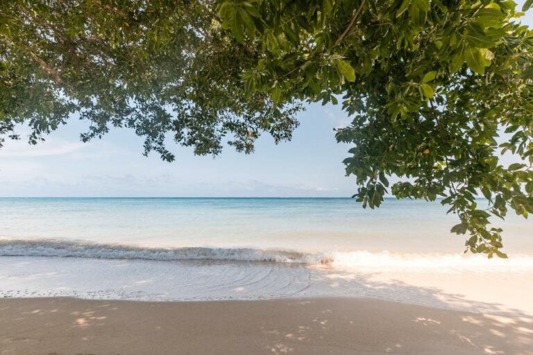 hotel Sofitel Baru Calablanca.9 768x512