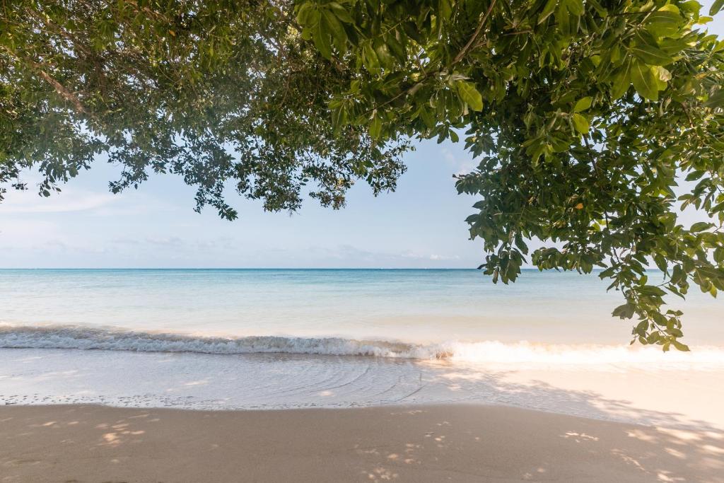 hotel Sofitel Baru Calablanca.9