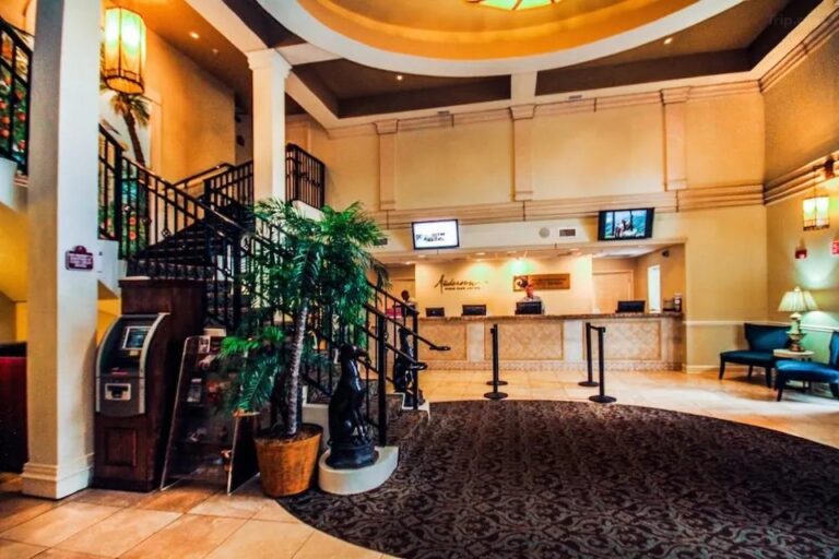 WhatsApp Image 2023 12 18 at 5.13.51 PM 768x512