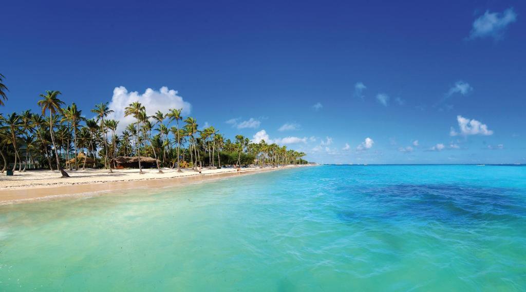 hotel barcelo bavaro punta cana 5
