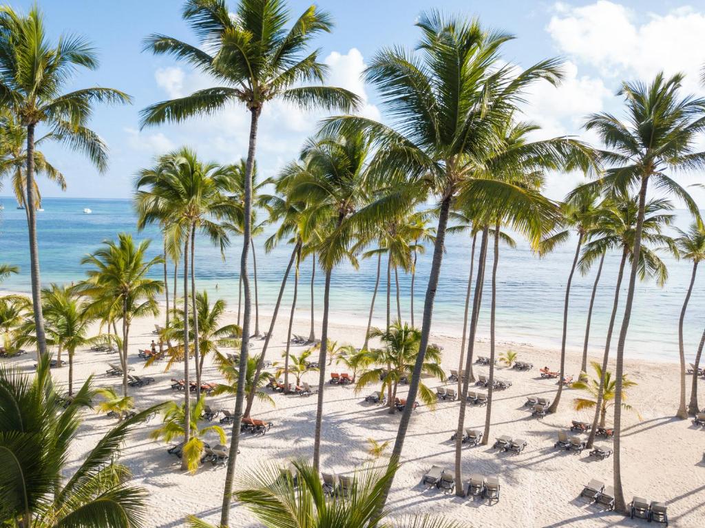 hotel barcelo bavaro punta cana 9
