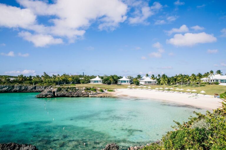 The cove beach hotel bahamas10 768x512