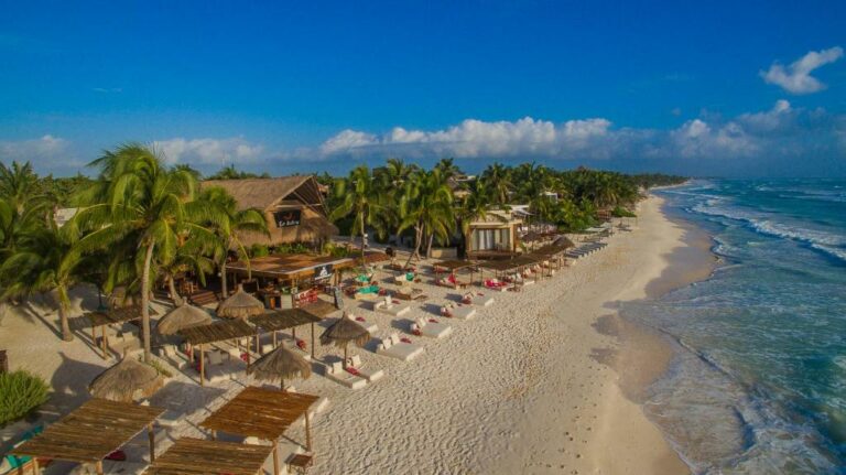 la zebra beach hotel tulum12 768x431
