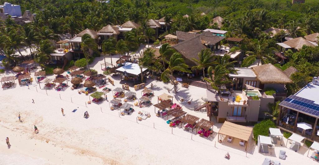 la zebra beach hotel tulum20