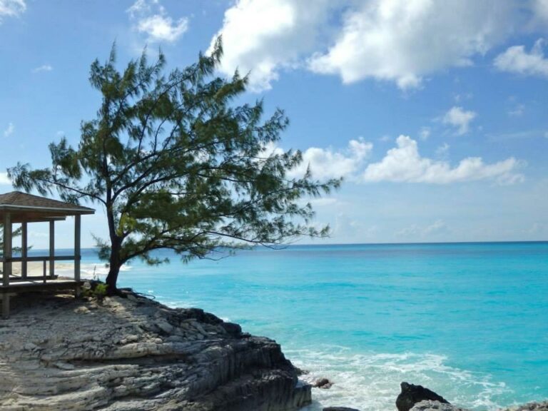 the stella beach hotel bahamas9 768x576