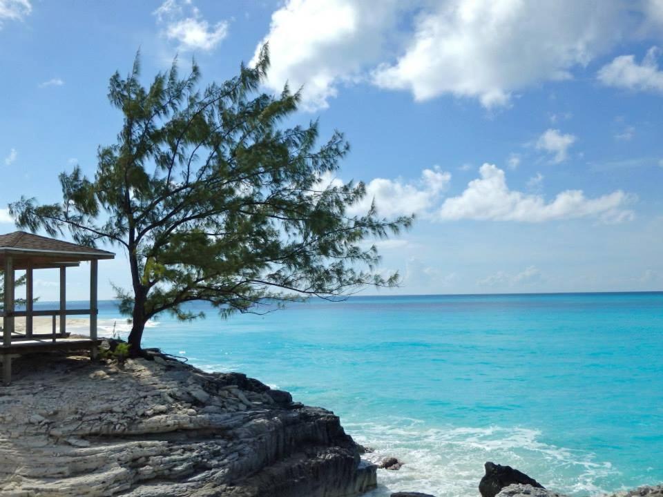 the stella beach hotel bahamas9