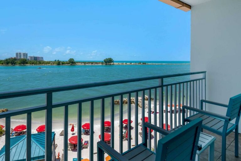 winter the dolphin clearwater beach 6 768x512