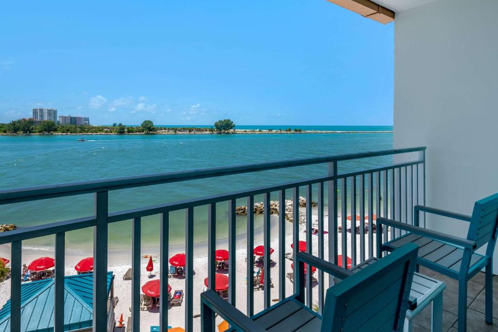 winter the dolphin clearwater beach 6