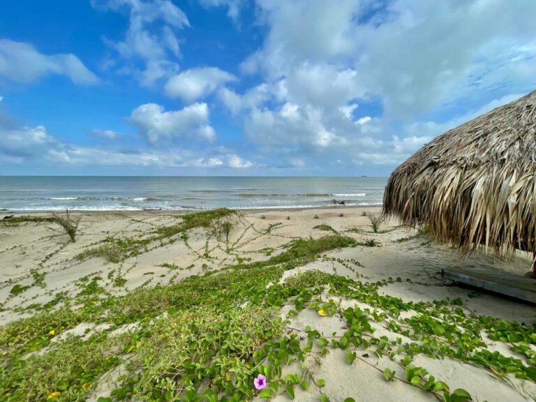 ECO XATA COLOMBIA8 768x576
